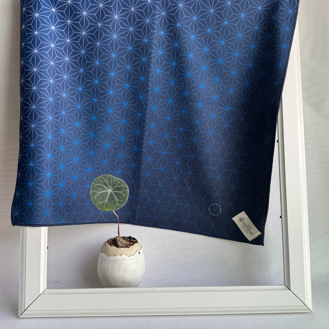 Navy blue fabric with Asanoha geometric pattern in a white frame with a small potted plant.