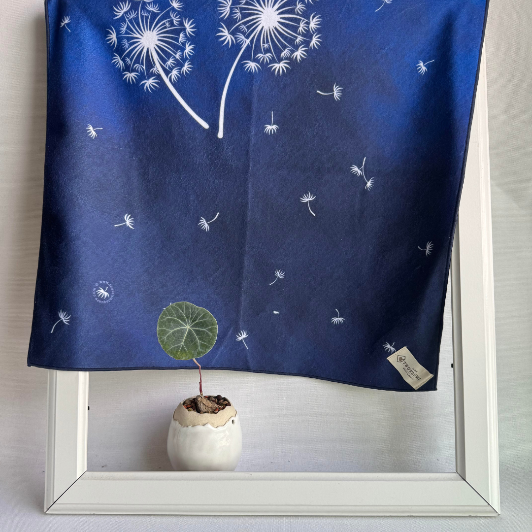 Navy blue fabric with Tanpopo (dandelions) pattern in a white frame with a small potted plant.